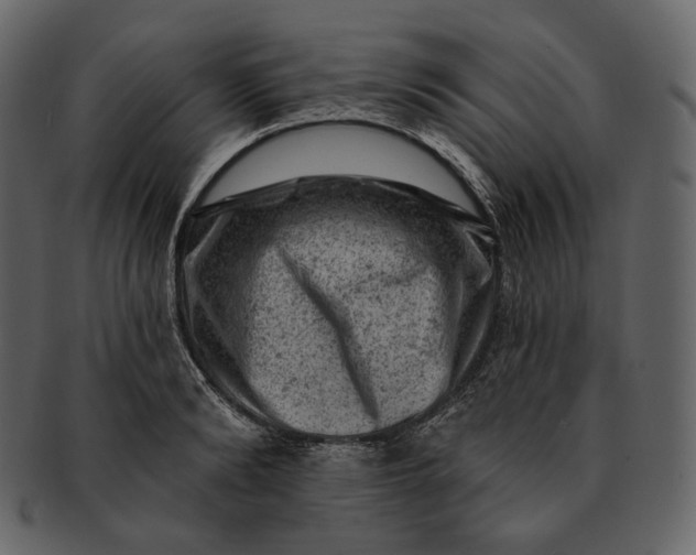 X0000092300894200710051218