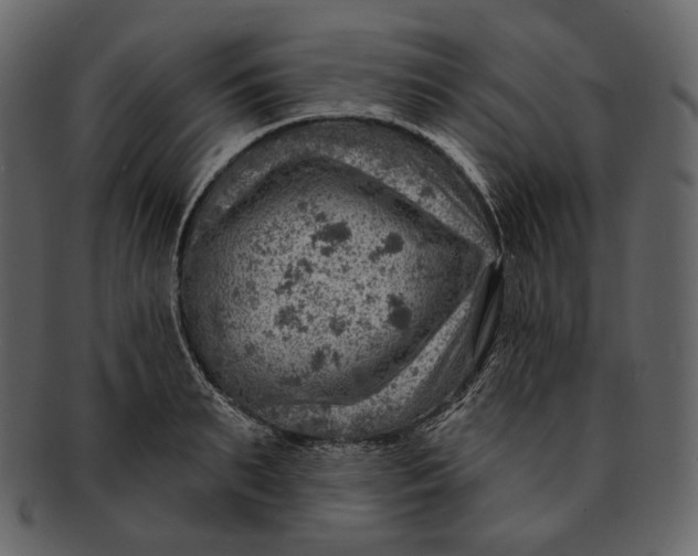 X0000092300895200710051218