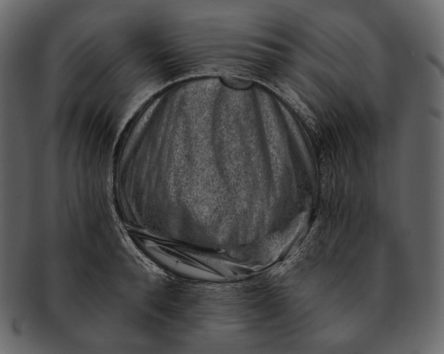 X0000092300896200710051218