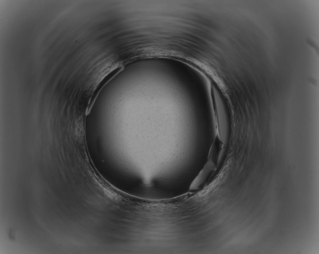 X0000092300897200710051218