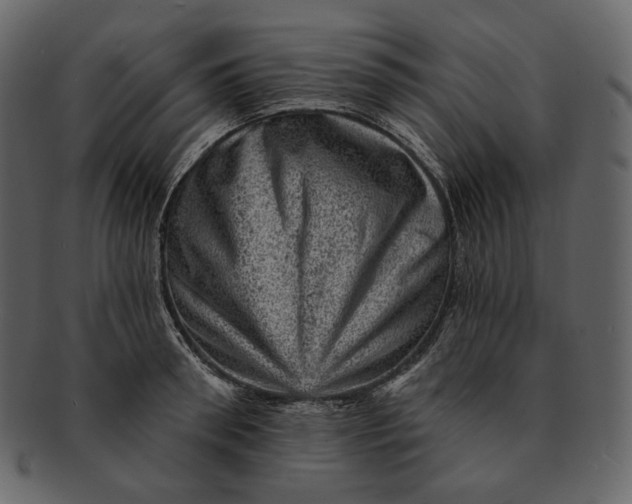 X0000092300898200710051218