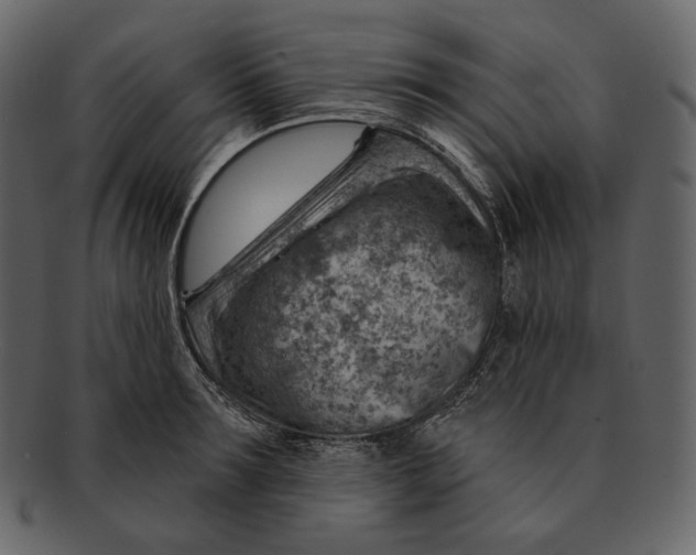 X0000092300899200710051218