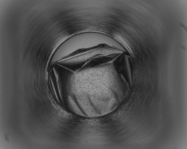 X0000092300900200710051218