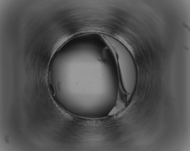 X0000092300901200710051218