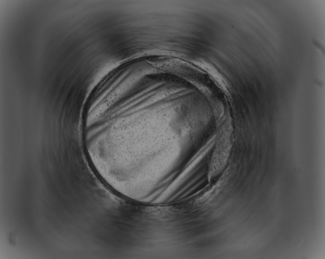 X0000092300902200710051218