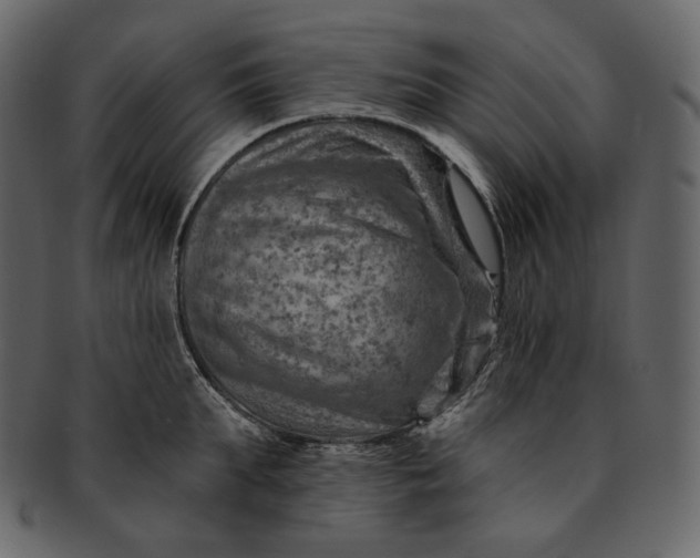 X0000092300903200710051218