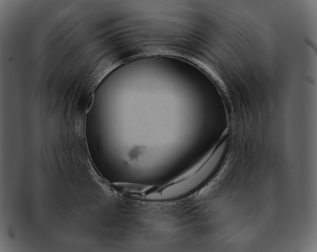 X0000092300905200710051218