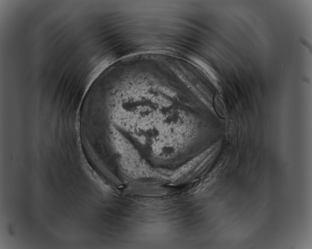 X0000092300907200710051218