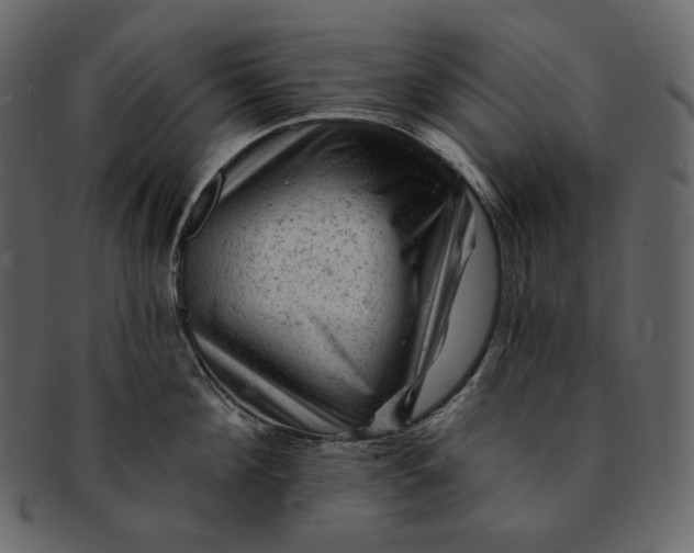 X0000092300908200710051218