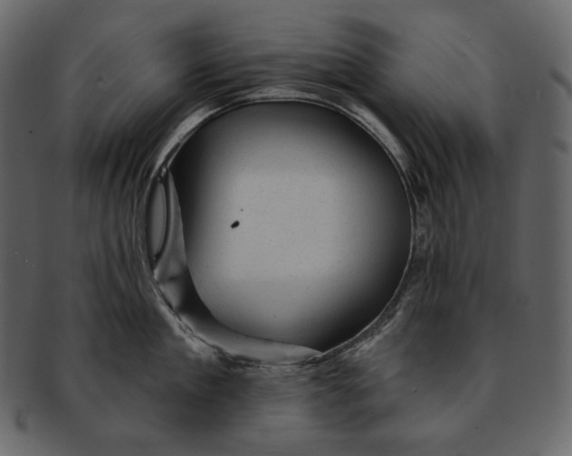 X0000092300909200710051218