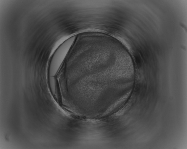 X0000092300910200710051218