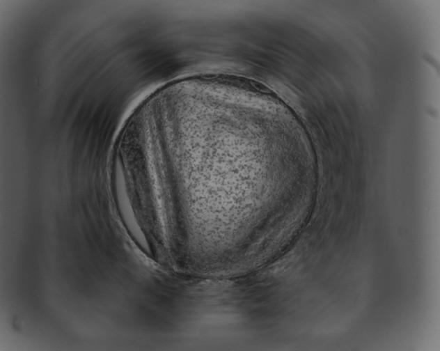 X0000092300912200710051218