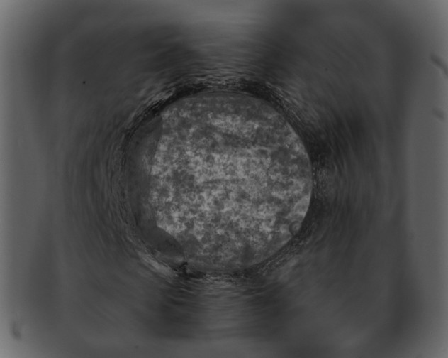 X0000092300913200710051217