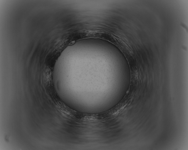 X0000092300914200710051217