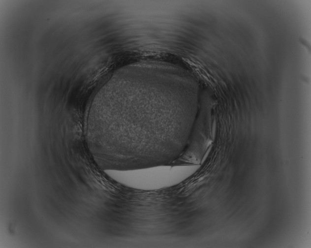 X0000092300916200710051217