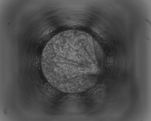 X0000092300917200710051217