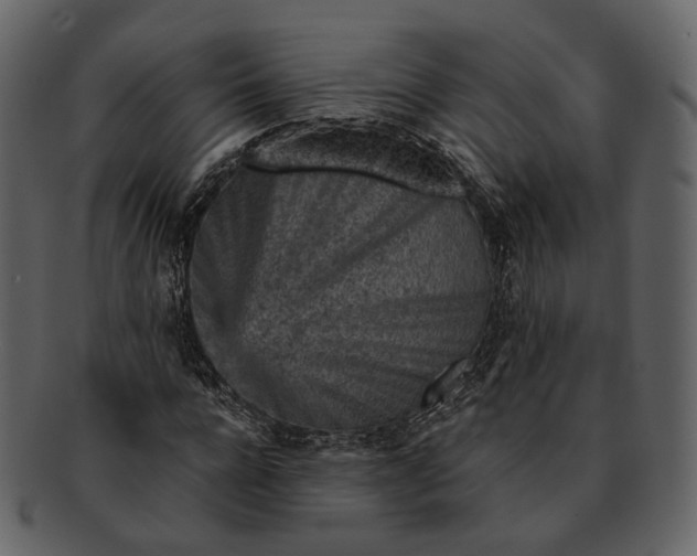 X0000092300920200710051217