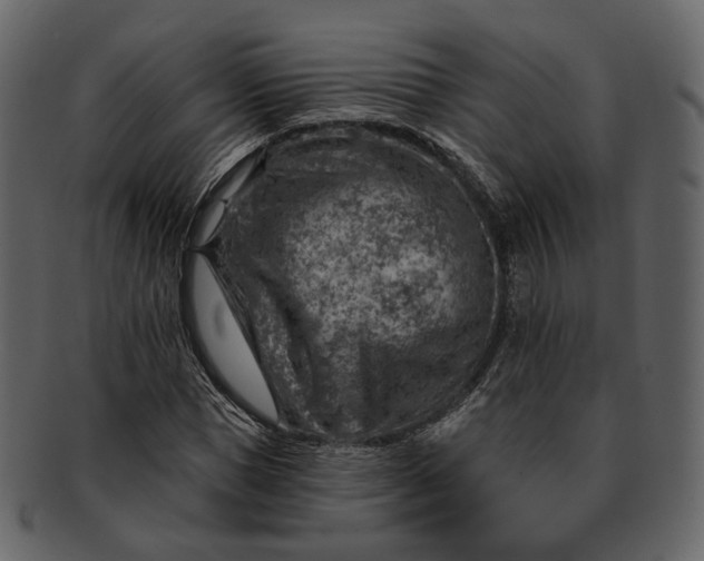 X0000092300921200710051217