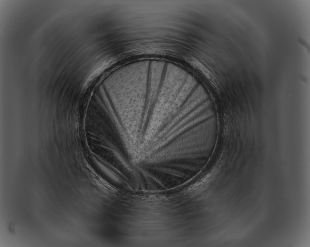 X0000092300922200710051217