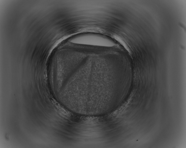 X0000092300923200710051217