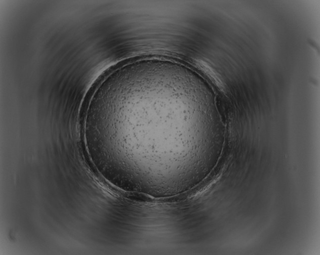 X0000092300924200710051217