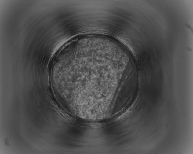 X0000092300925200710051217