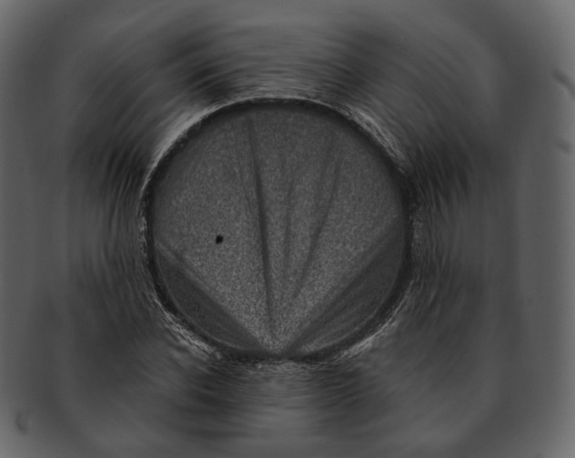 X0000092300926200710051217