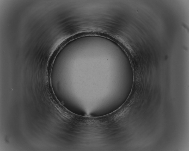 X0000092300927200710051217