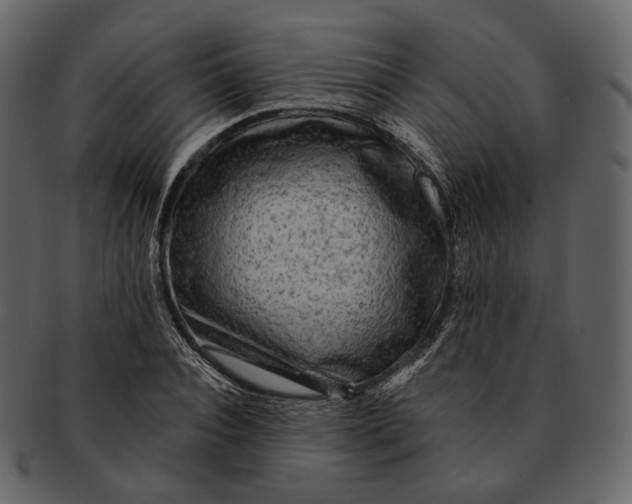 X0000092300928200710051217