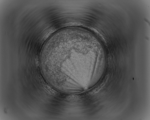 X0000092300929200710051217