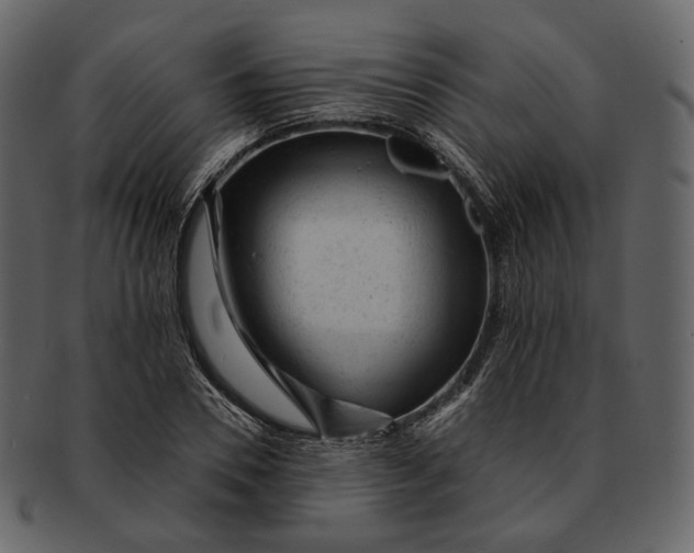 X0000092300930200710051217