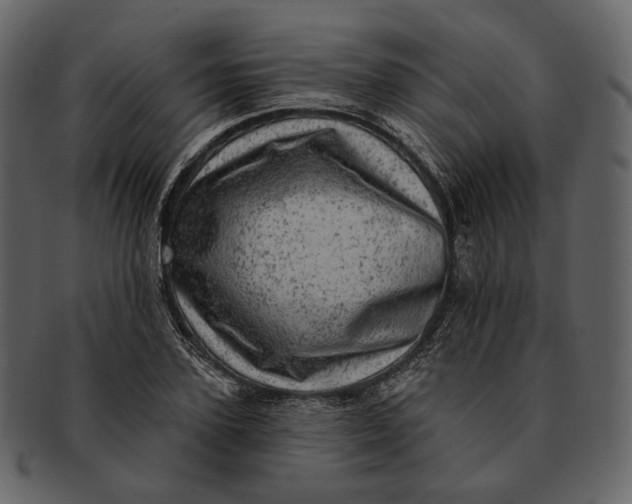 X0000092300931200710051217