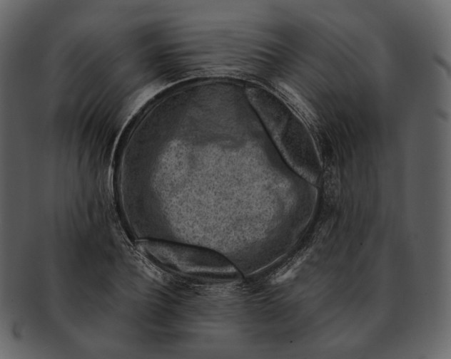 X0000092300932200710051217