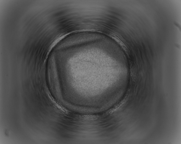 X0000092300933200710051217