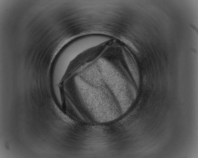 X0000092300934200710051217