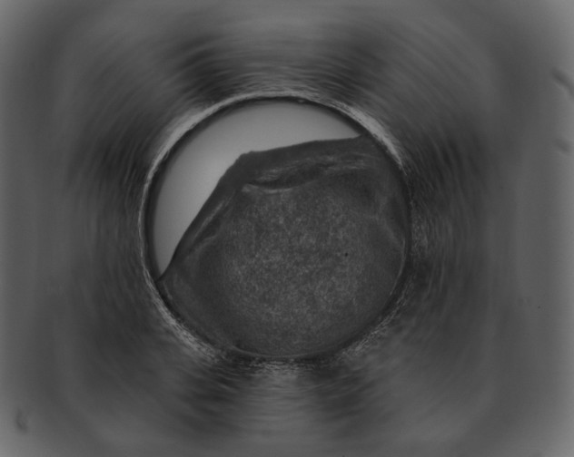 X0000092300935200710051217