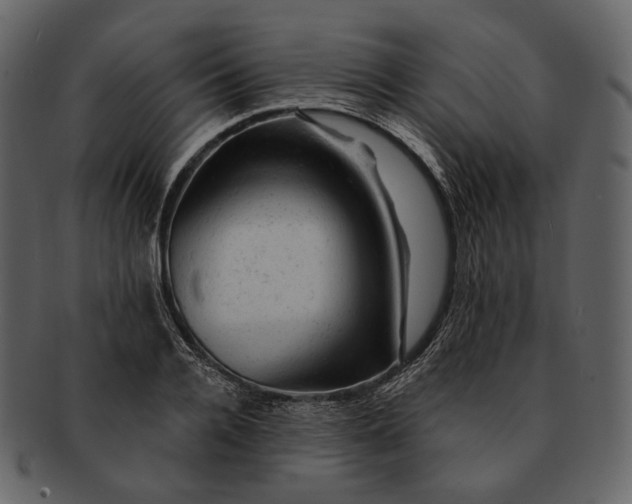 X0000092300936200710051217