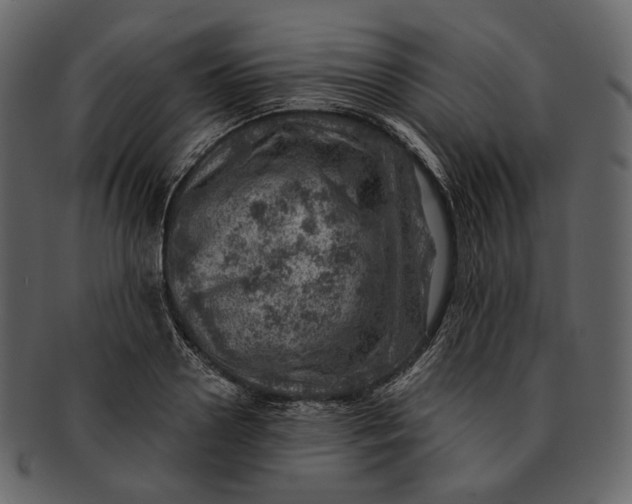 X0000092300938200710051218