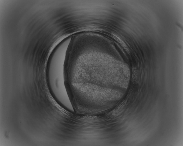 X0000092300939200710051218