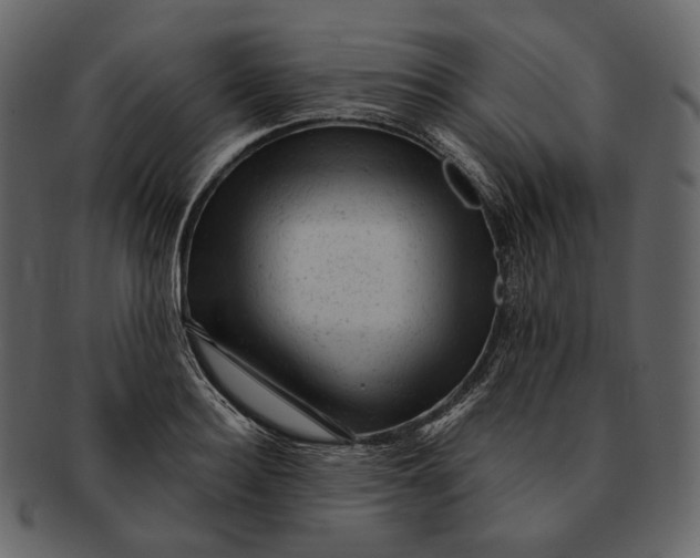 X0000092300940200710051218