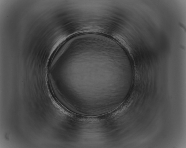 X0000092300941200710051218