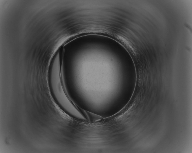 X0000092300942200710051218