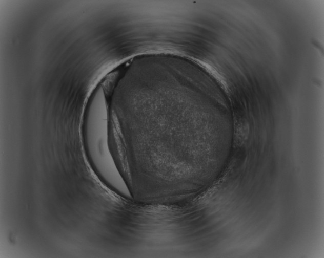 X0000092300943200710051218