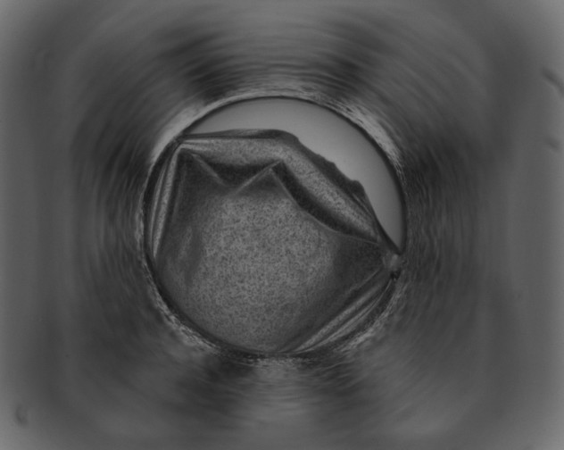 X0000092300944200710051218