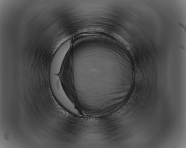 X0000092300945200710051218