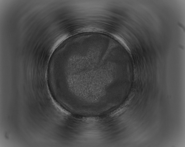 X0000092300946200710051218