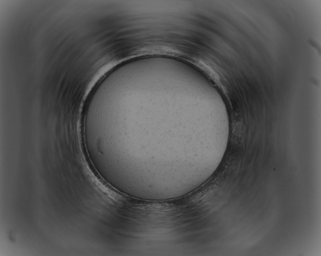 X0000092300947200710051218