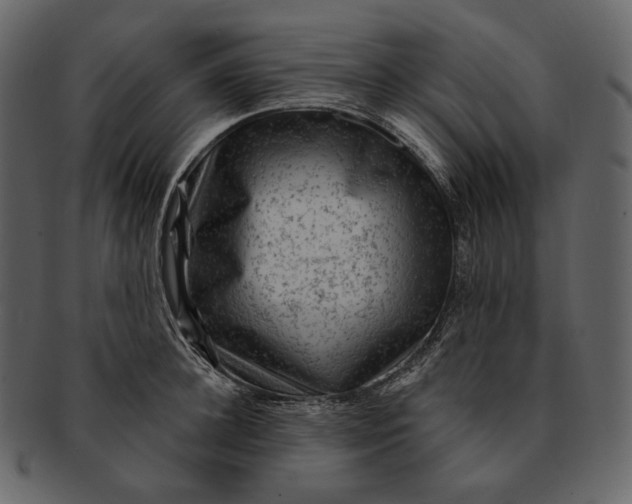 X0000092300948200710051218