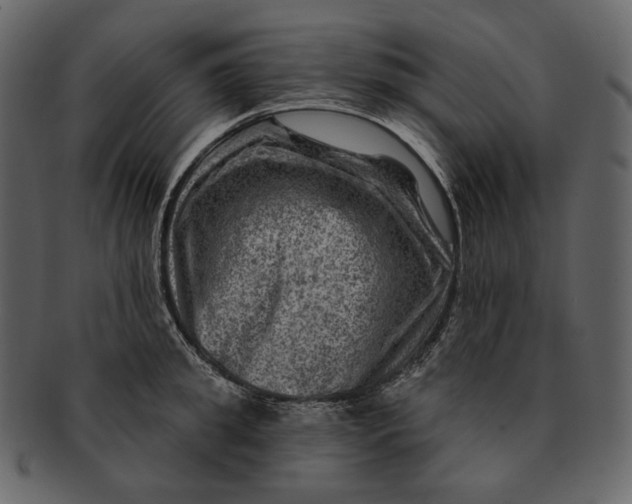 X0000092300949200710051218