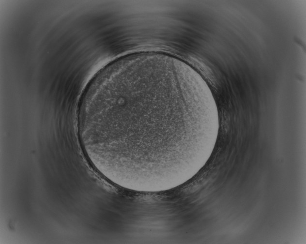 X0000092300950200710051218